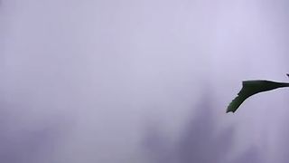 Mamma e figlia prendono 1 mostruoso cazzo nero