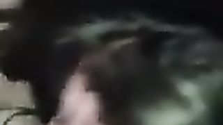 La troietta bresciana me lo ciuccia