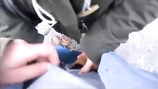 A pecorina sul ponte