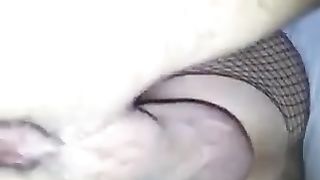 Mia moglie inculata con dolore dal bull