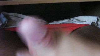 Sega e pompino mentre guardo un porno al PC