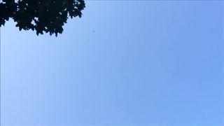 Pompino nel giardino di casa