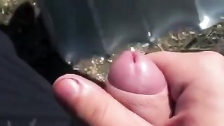 18enne spompina in campagna ad Alessandria