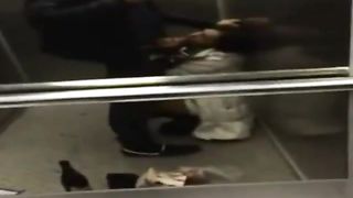 18enne fa un pompino in ascensore al fidanzato