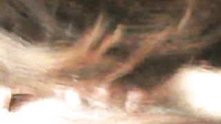 La porca assatanata di cazzo