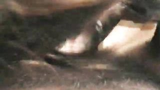 La porca assatanata di cazzo