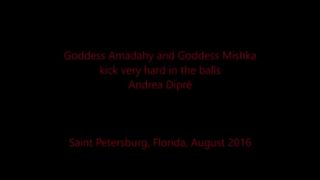 Prendono a calci nelle palle Andrea Diprè