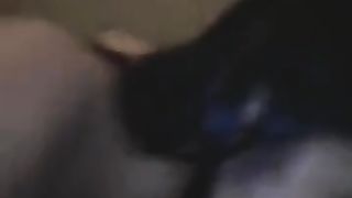 Come me lo succhia la culona brasiliana !!!