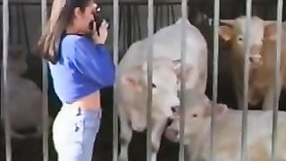 Perversioni in Padania FILM PORNO