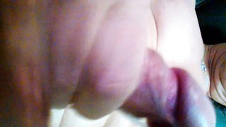 SEGATA DOC !!!!!!!!!!!!!