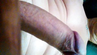 SEGATA DOC !!!!!!!!!!!!!