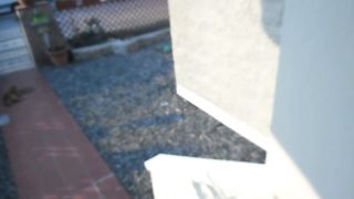 Improvvisando in giardino...