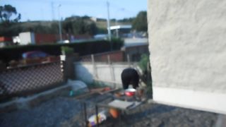 Improvvisando in giardino...