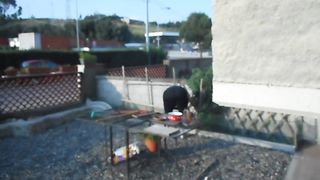 Improvvisando in giardino...