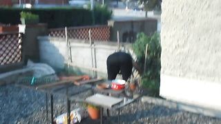 Improvvisando in giardino...