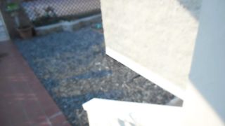 Improvvisando in giardino...