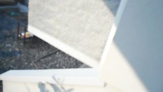 Improvvisando in giardino...