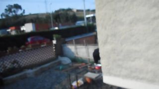 Improvvisando in giardino...