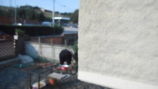 Improvvisando in giardino...