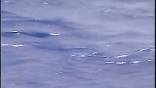 Grandi Labbra: Il Ritorno FILM PORNO