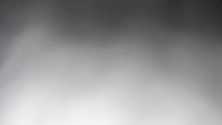 Il culo della mia troia