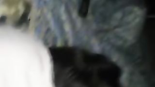 La chiavo a pecorina e lei mi ripulisce il cazzo