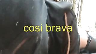 La Cagna succhia il cazzo e lecca il culo