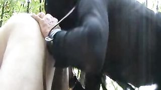 Lecco il culo e vengo inculata