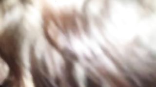 Porno di una giovane coppia pugliese