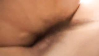 Tradizioni di Famiglia FILM PORNO