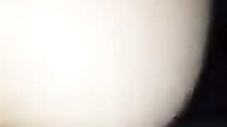 Non mi SBATTERE FORTE che mi fai saltare 3 metri