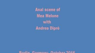 Andrea Diprè incula Mea Melone