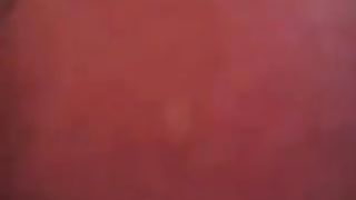 Gliela lecco e lei urla di piacere