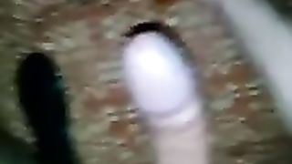 La porcellina leccata