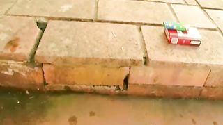 Mi scopo mia moglie in piscina