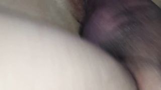 Scopo mia moglie a pecora