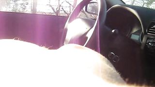 Le riempio la figa di sperma in auto