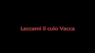 Leccami Il culo vacca