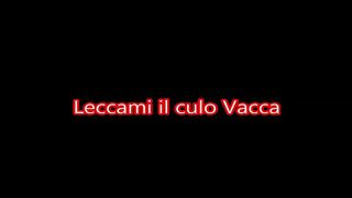 Leccami Il culo vacca