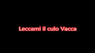 Leccami Il culo vacca