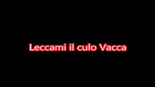 Leccami Il culo vacca