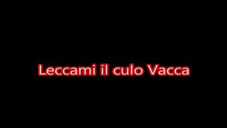 Leccami Il culo vacca