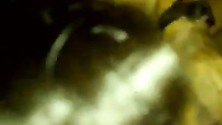 Oh sì GODO GODO !!!