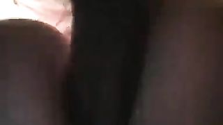 La inculo e la riempio di crema