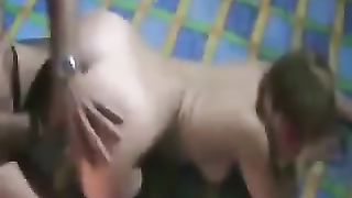 2 Bull si montano quella vacca di mia moglie