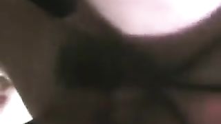 2 Bull si montano quella vacca di mia moglie