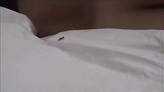 Io ed il massaggiatore con mia moglie Viola