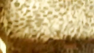 Mia moglie ha voglia del mio cazzo