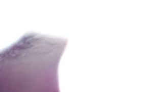 Il suo cazzo nella mia fighettina