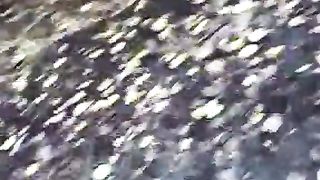 Sega da puttana nigeriana per strada